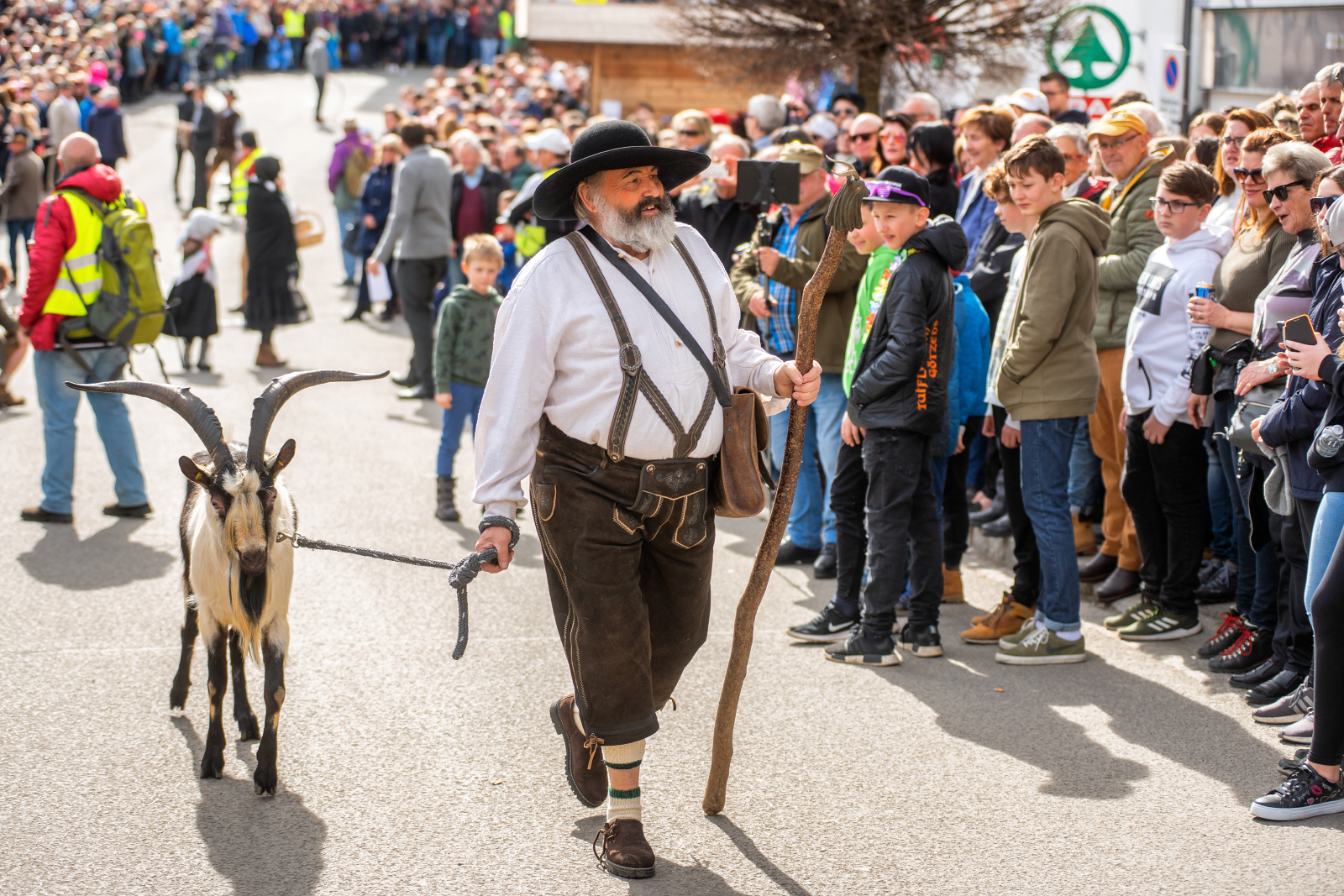 Axamer Bock