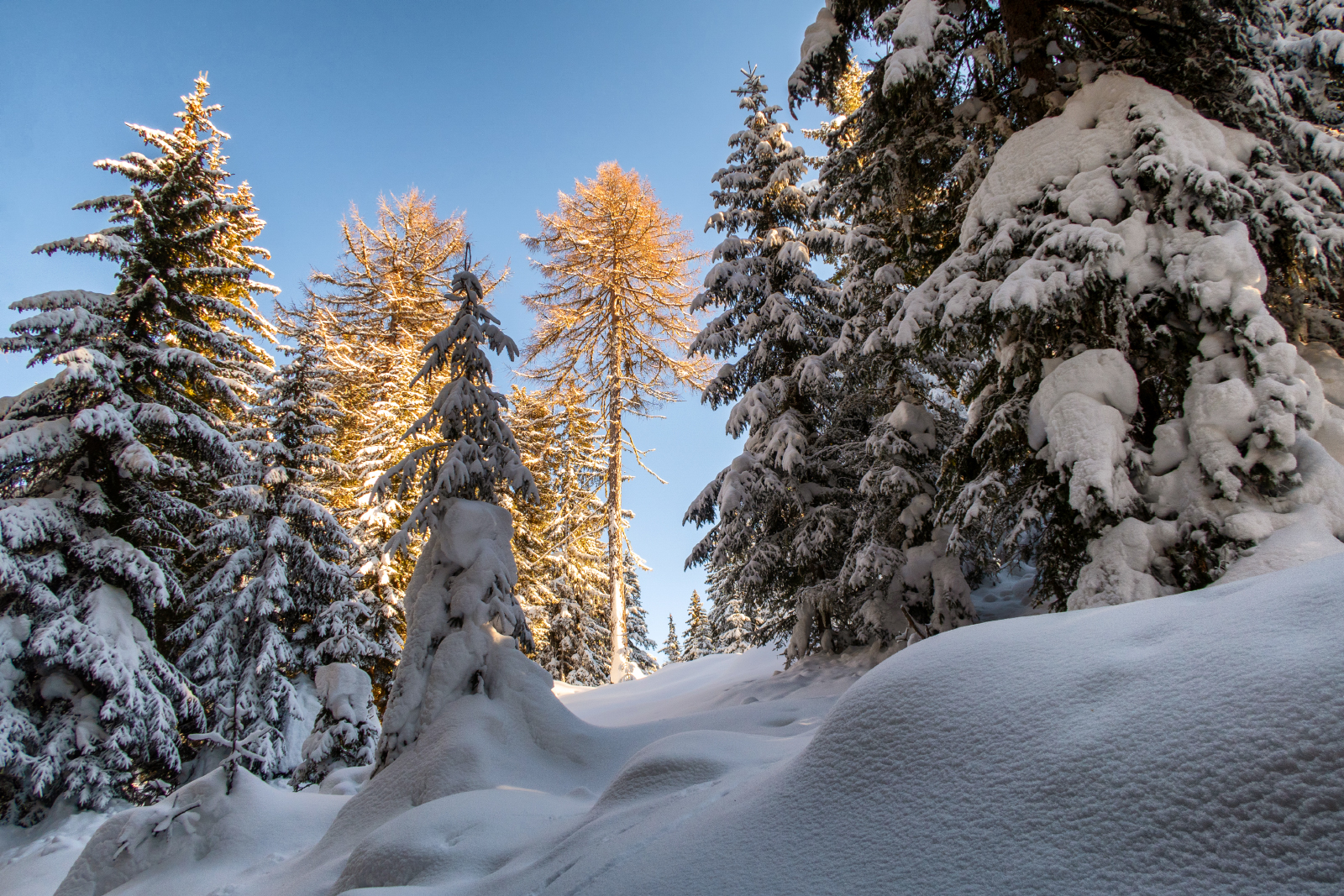 Winter Wonderland Birgitz