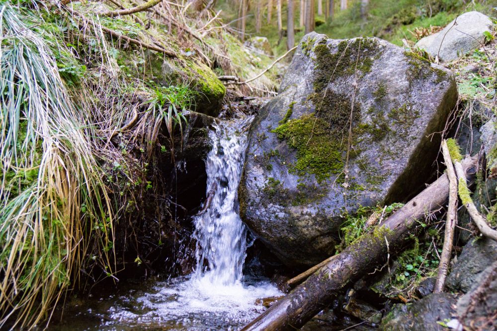 Gebirgsbach auf der Nordkette