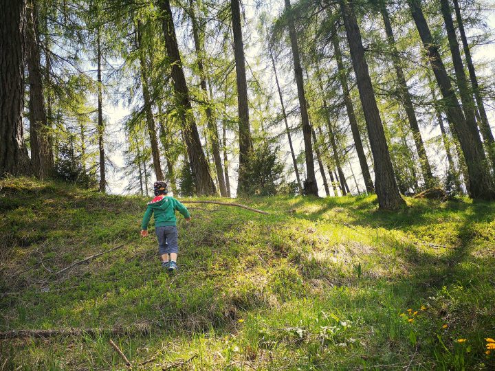 Kind flitzt durch Lärchenwald
