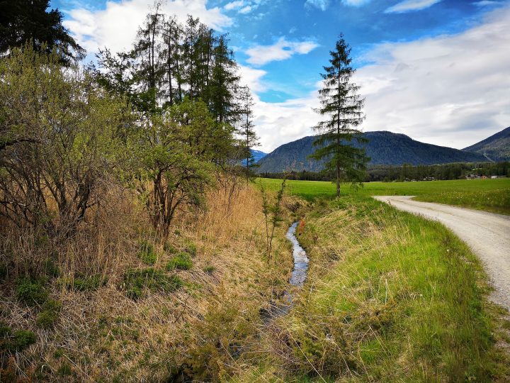 Bächlein schlängelt sich durch die Wiese am Sonnenplateau