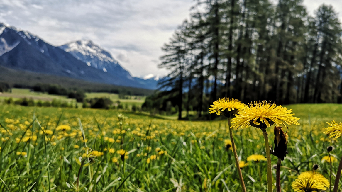 Mieminger Sonnenplateau