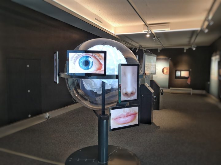 Sonderausstellung Superhirn