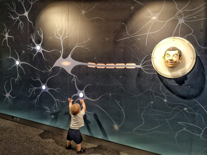 Kleinkind in der Sonderausstellung Superhirn