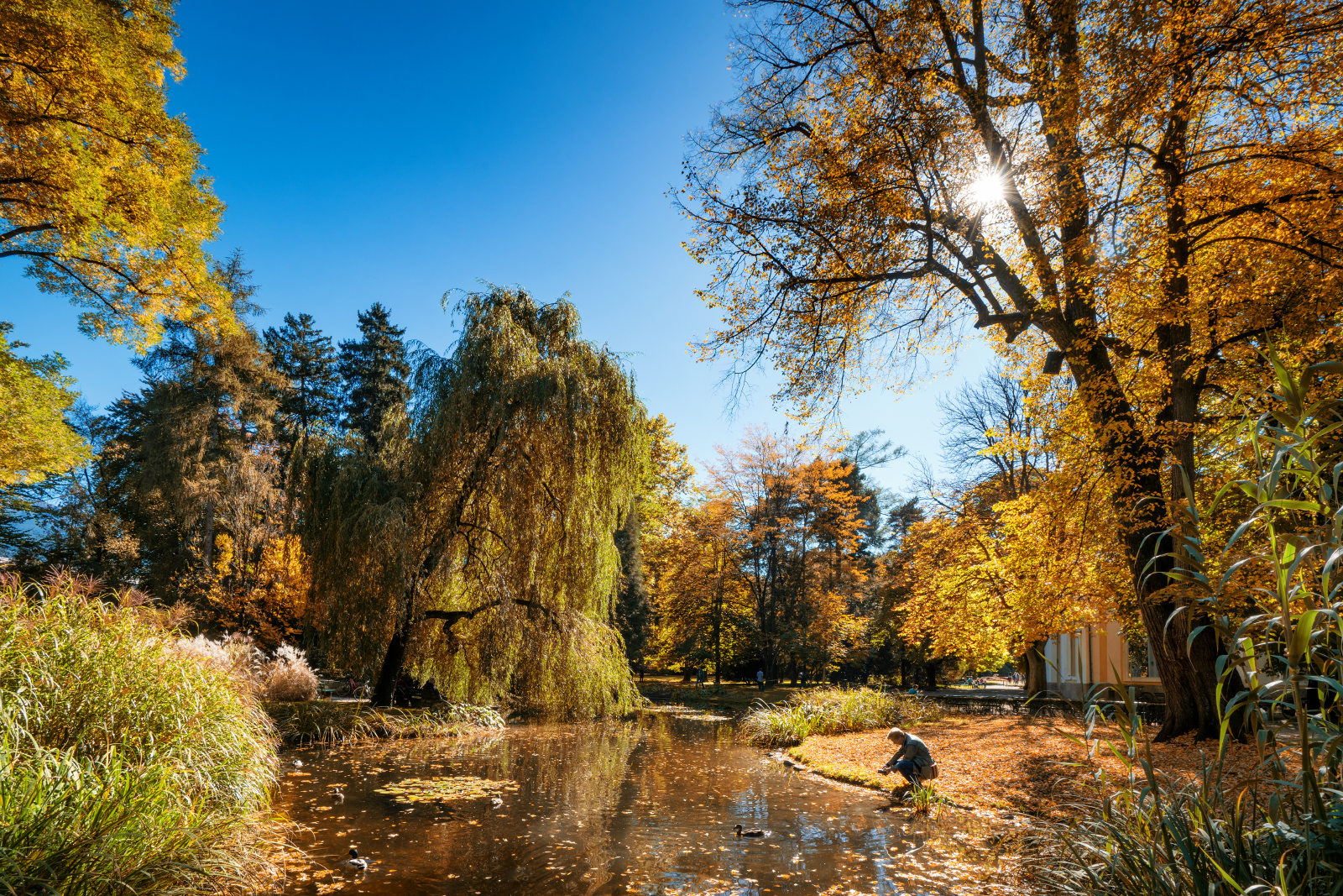 Hofgarten Innsbruck
