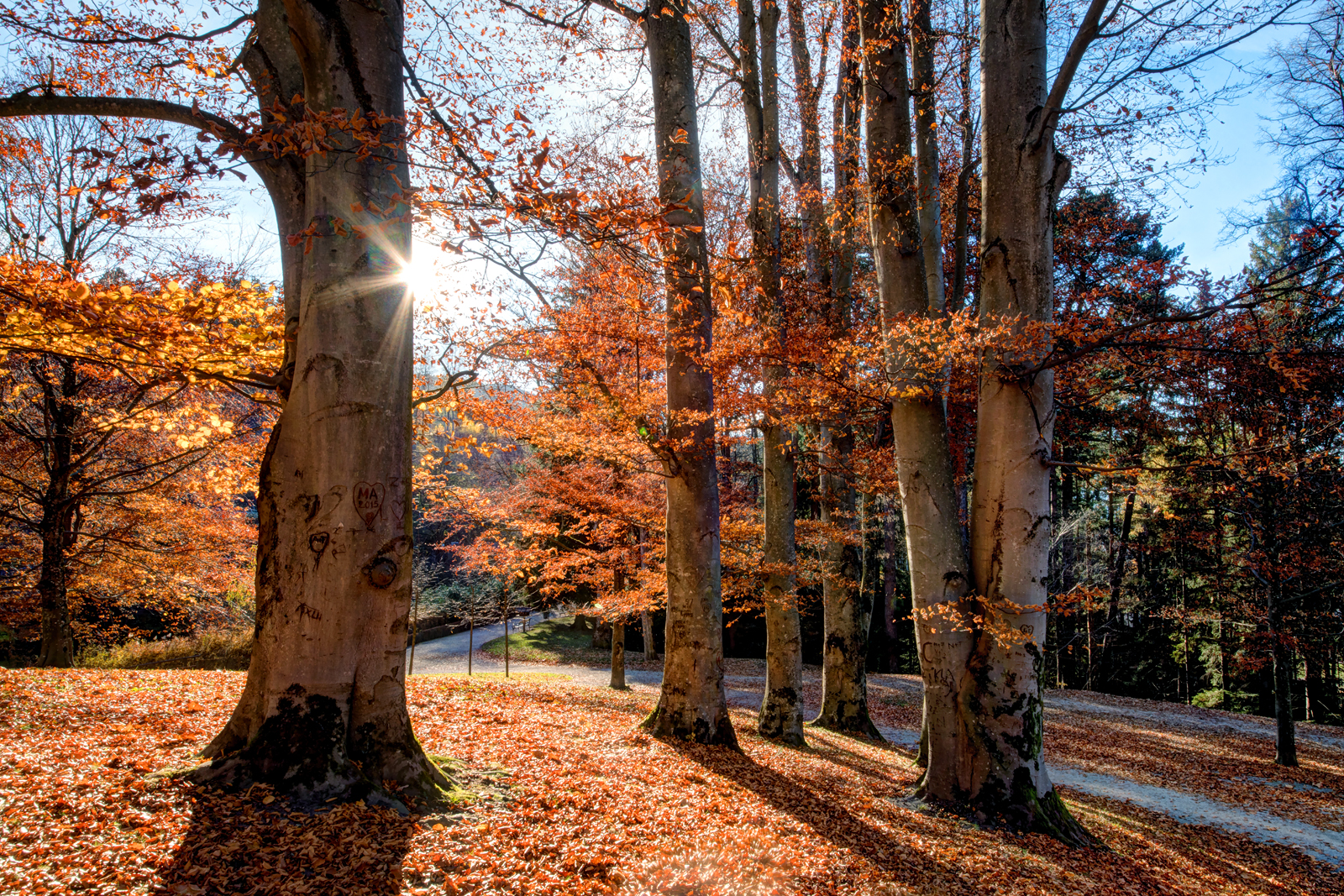 Schlosspark Ambras