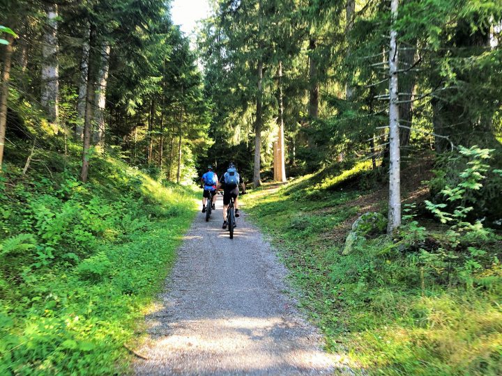 Nach ein paar Instruktionen vom Chef starten wir. Zuerst geht's noch gemächlich durch den Wald.