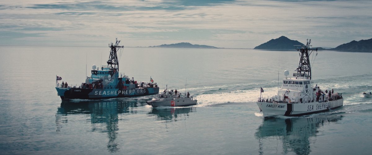 Still_FILM_sea_shepherd_(c)Sea of shadows_Ladkani