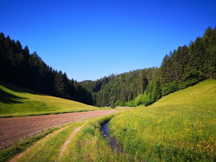 Idyllische Landschaft im Hasental