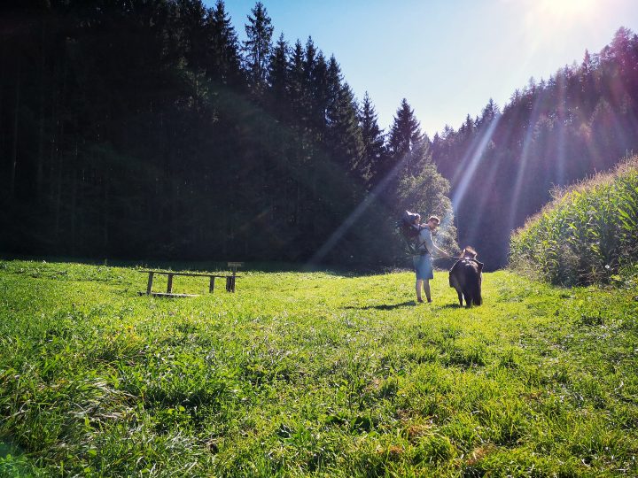 Ponyreiten Hasental