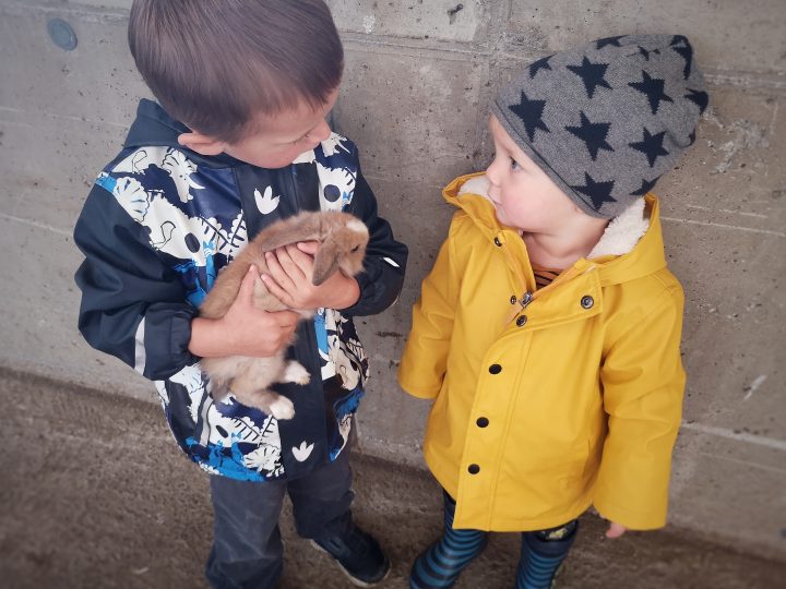 zwei kleine Jungs mit Kaninchen