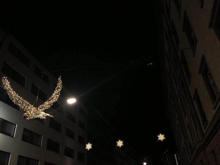 In Wilhelm-Greil Straße un’aquila vola verso le montagne, Foto © Laura Manfredi
