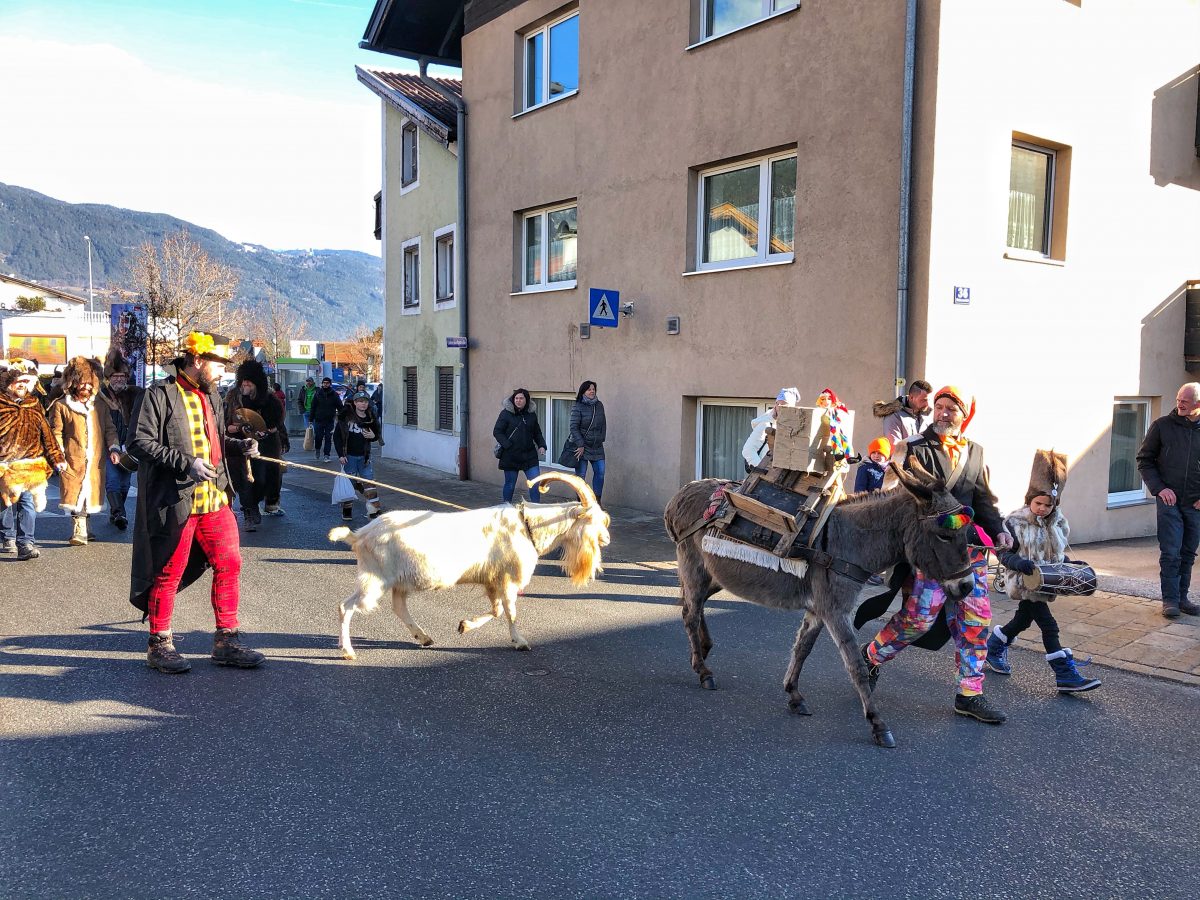 Bären und Exoten, Schleicherlauf