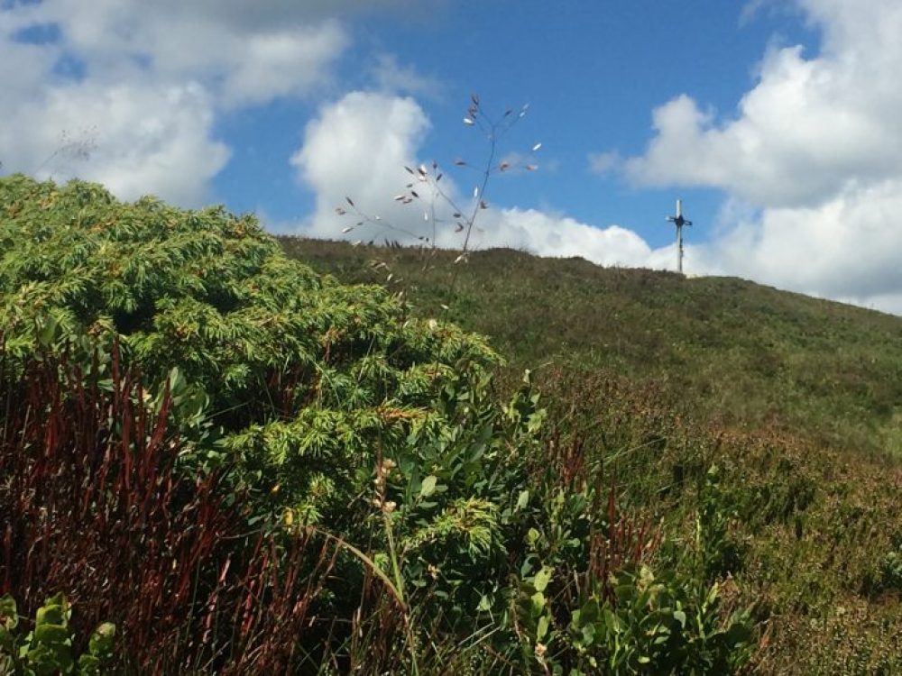 Am Gipfel wartet Freiheit pur.