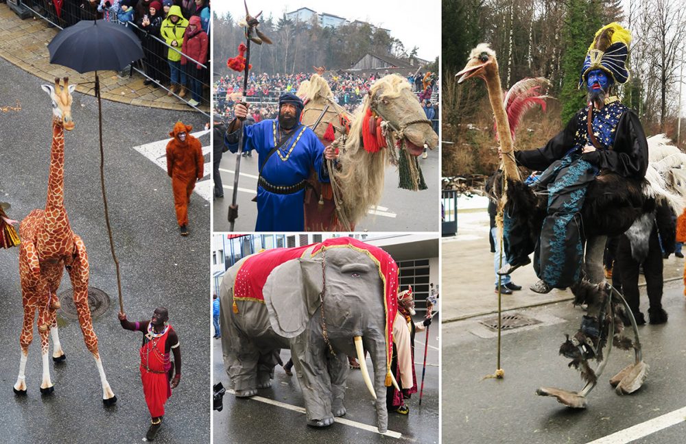 Telfer Schleicherlaufen 2020 © Ichia Wu