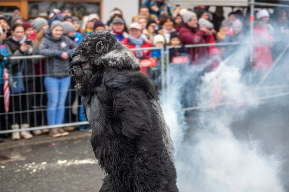 Gorilla Schleicherlaufen Telfs Fasnacht
