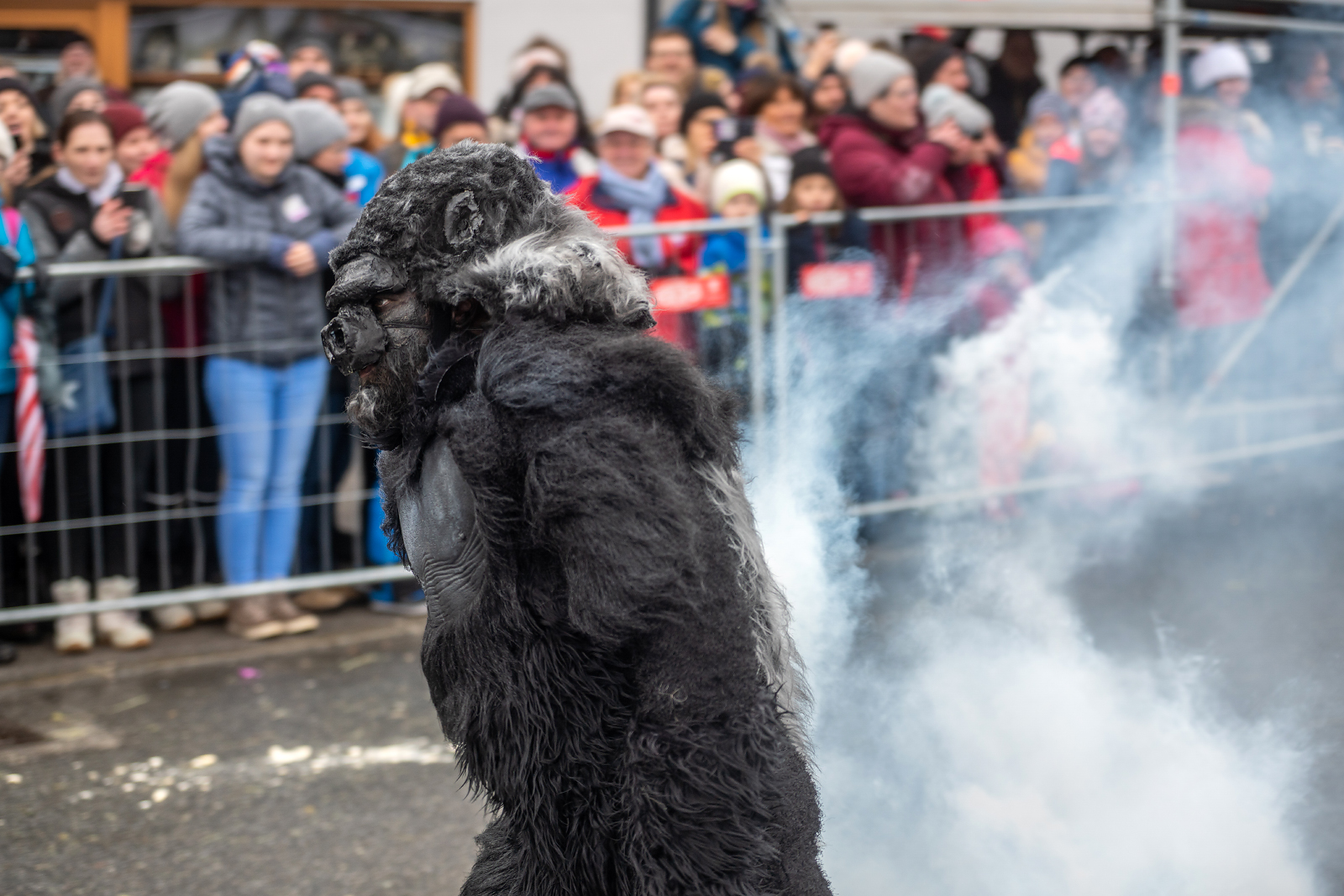 Gorilla Schleicherlaufen Telfs Fasnacht