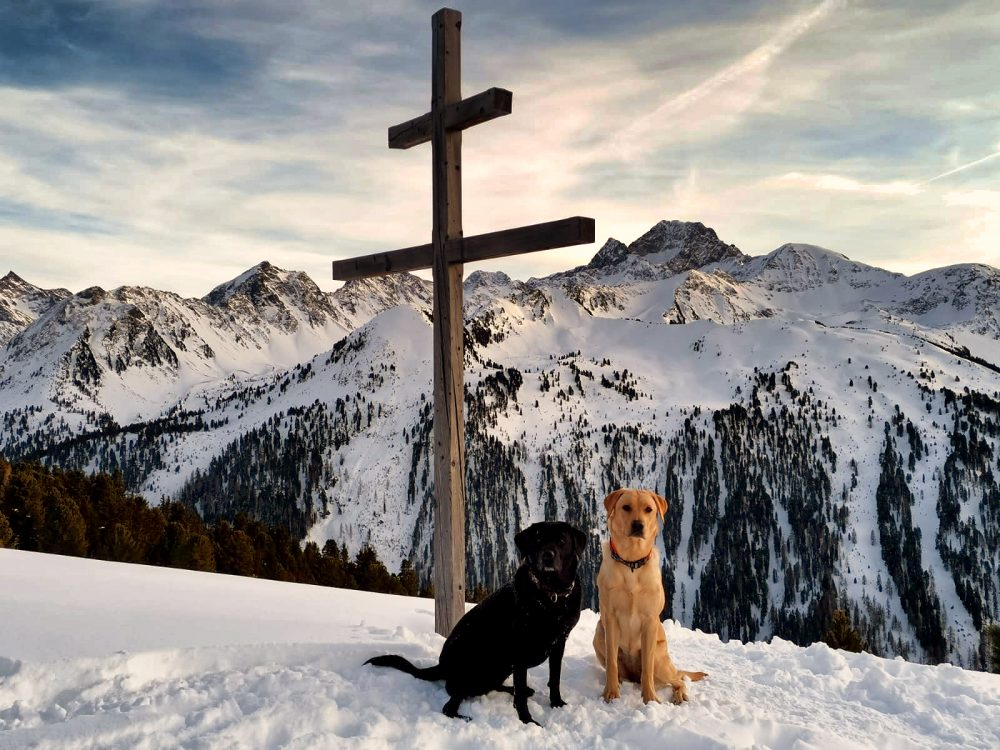 Feldringer Alm Wetterkreuz