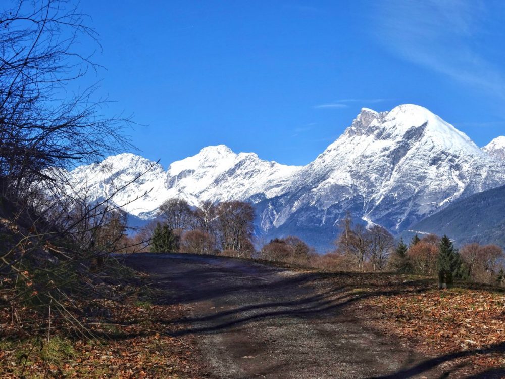 Hohe Munde