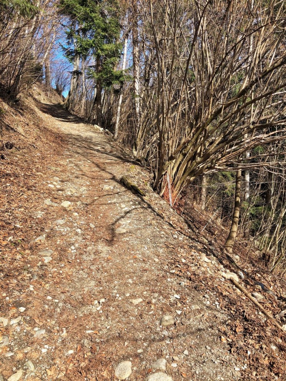 Alter Weg von Inzing nach Hof