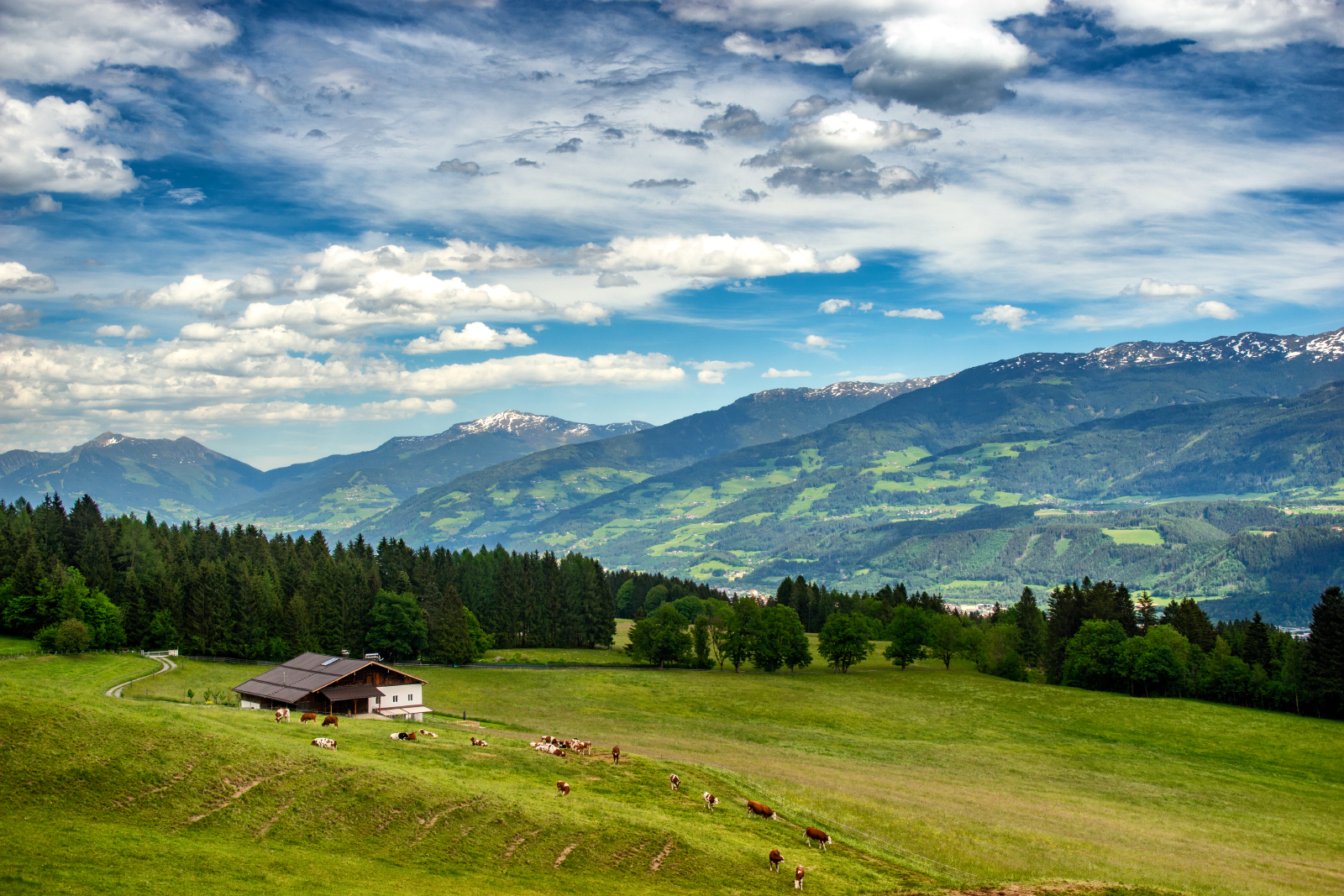 Purnhof
