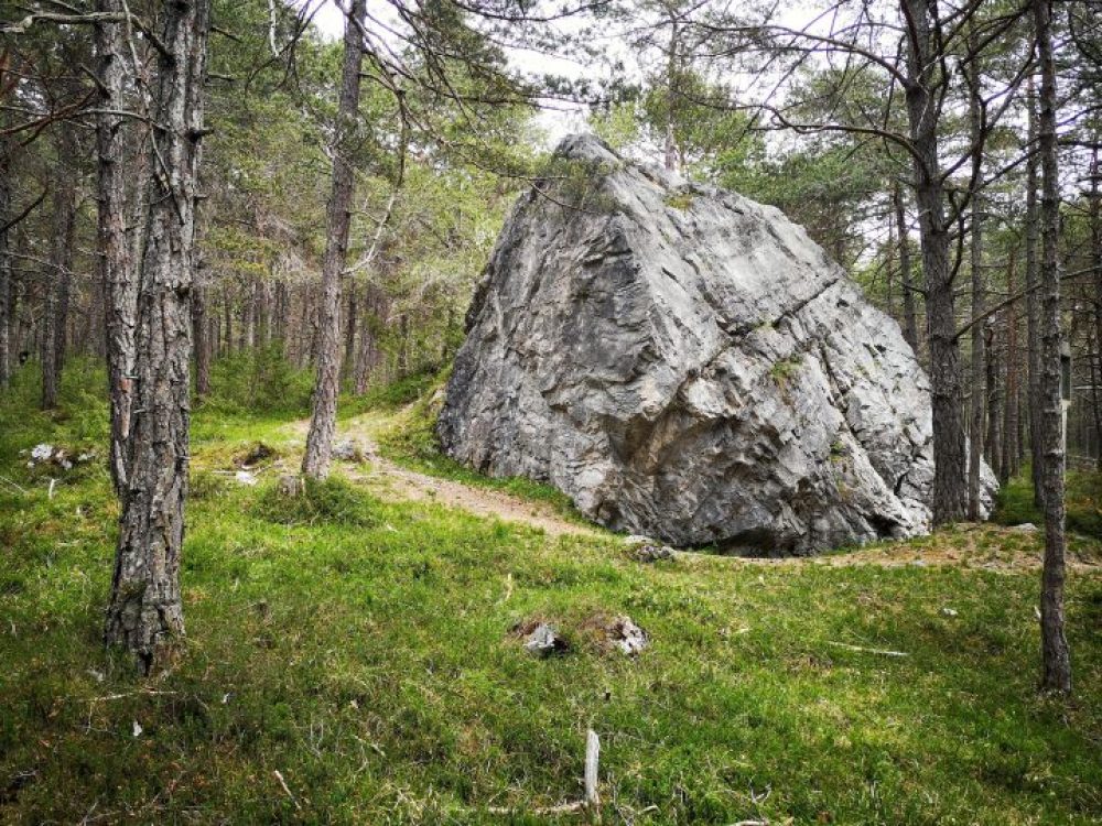 Mieminger Schatzstein