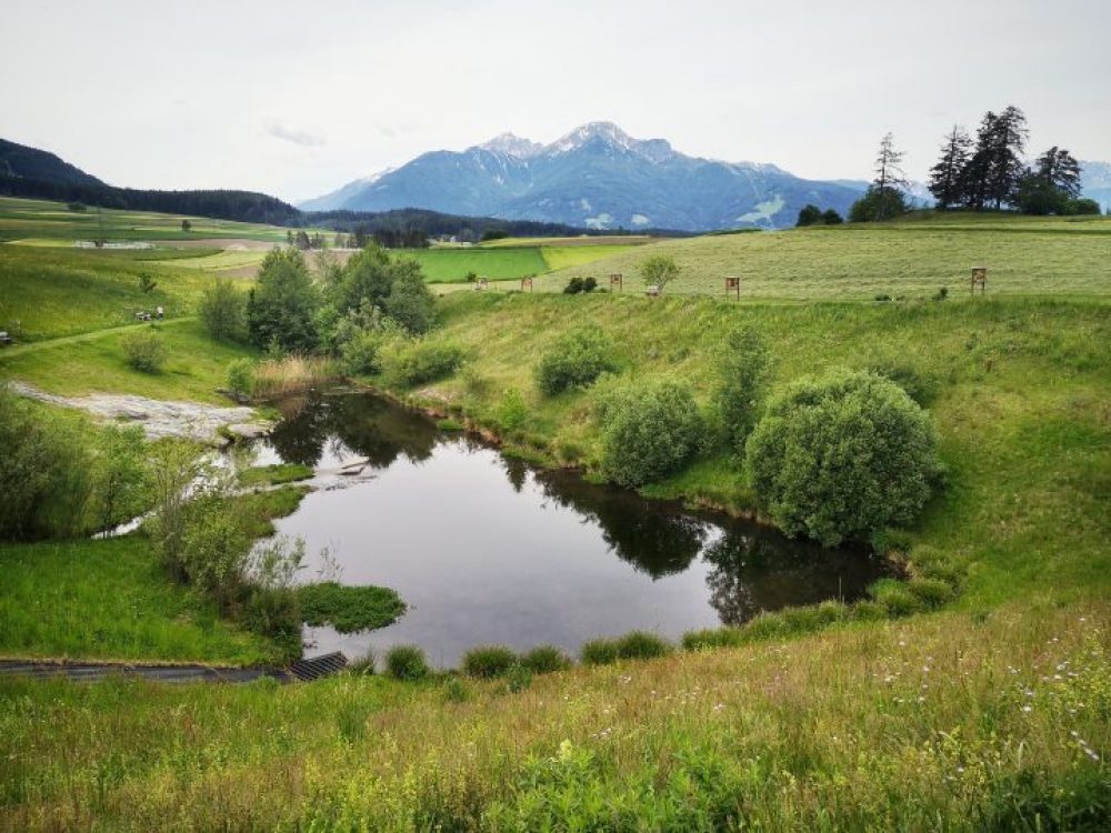 Mühlteich in Sistrans