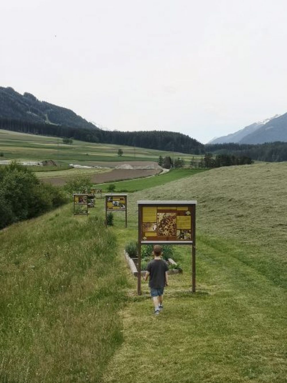 Bienenlehrpfad am Sistranser Mühlteich