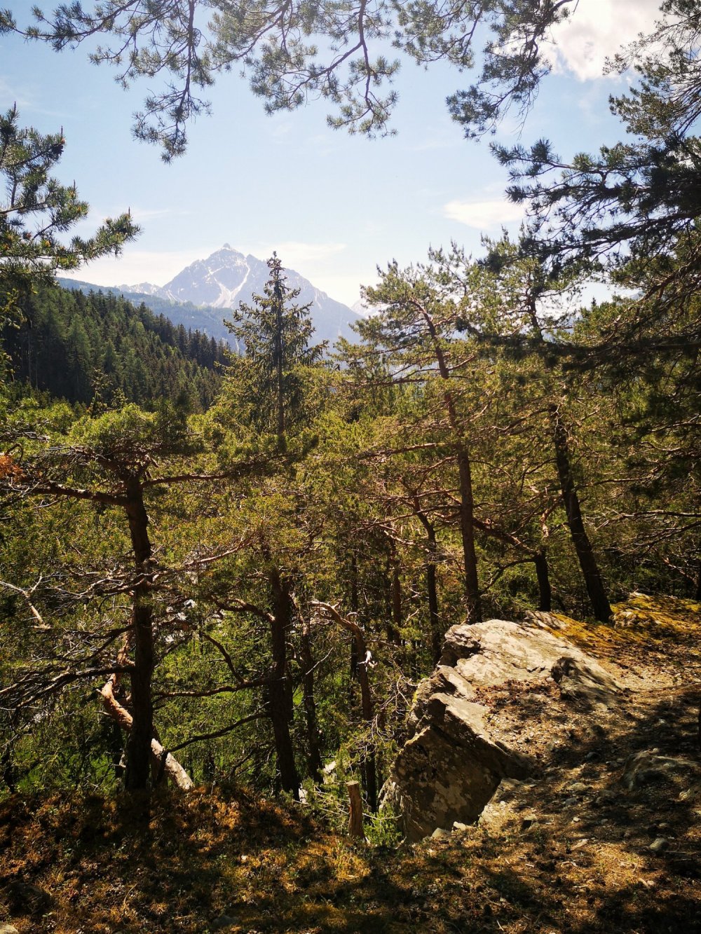 Aussicht auf die Serles