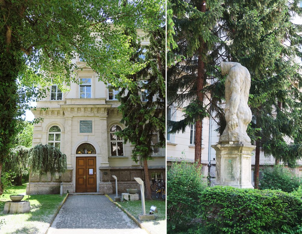 Anatomisches Museum, Wilten, Innsbruck © Ichia Wu