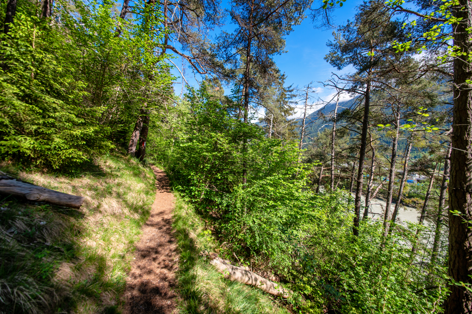 Locherboden