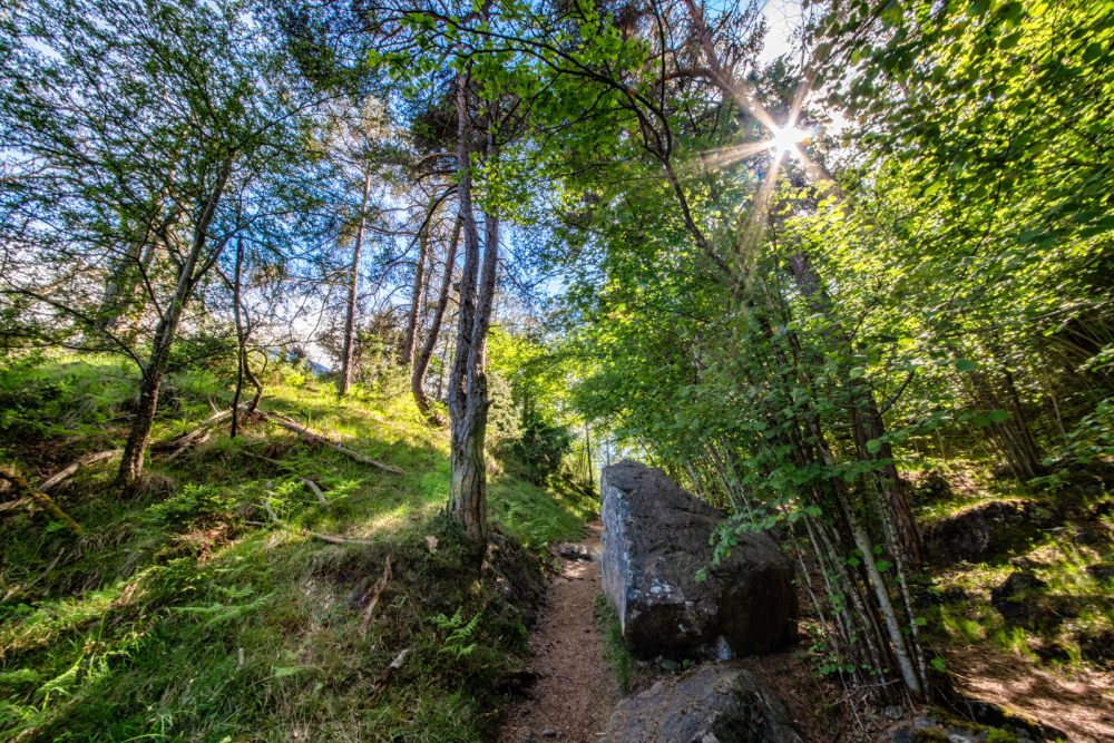 Locherboden Steig