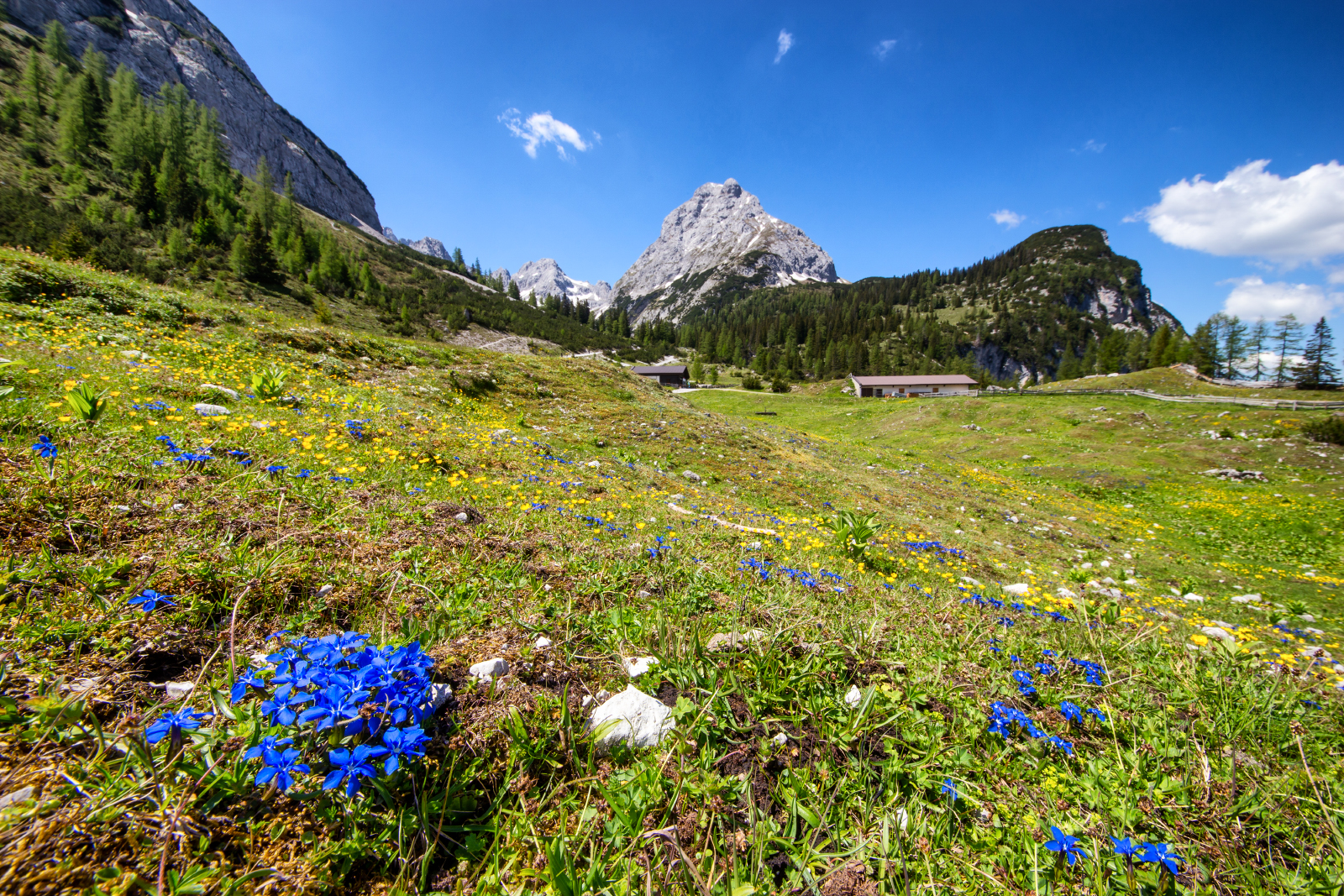 Seebenalm