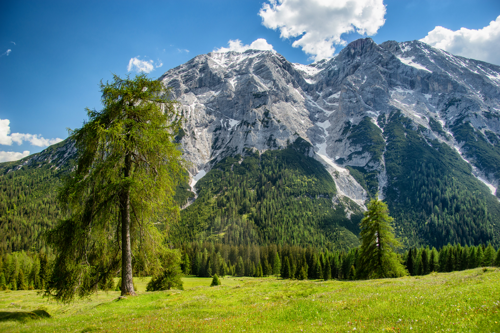 Hohe Munde