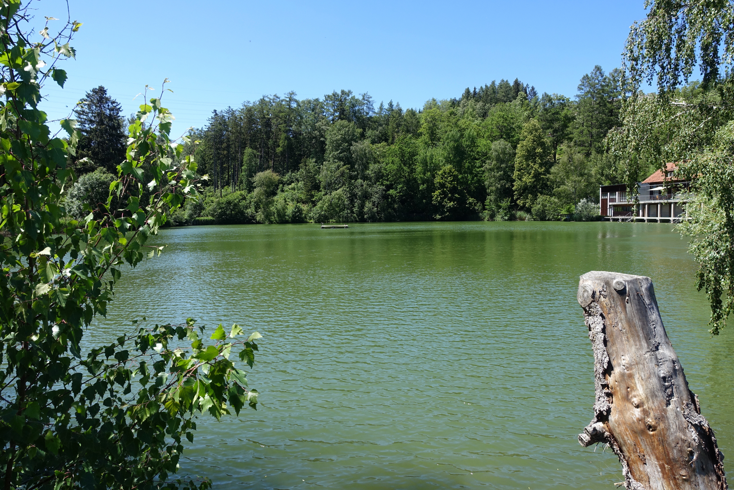 Mühlsee