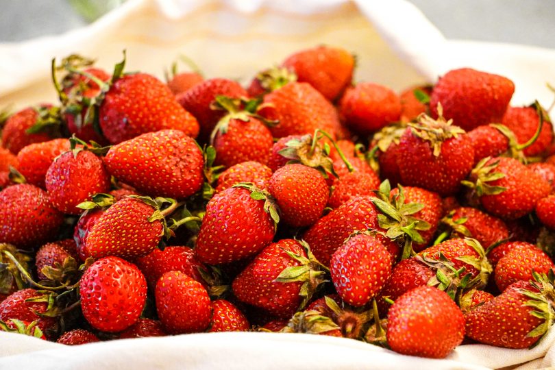 Erdbeeren selber pflücken in Tirol