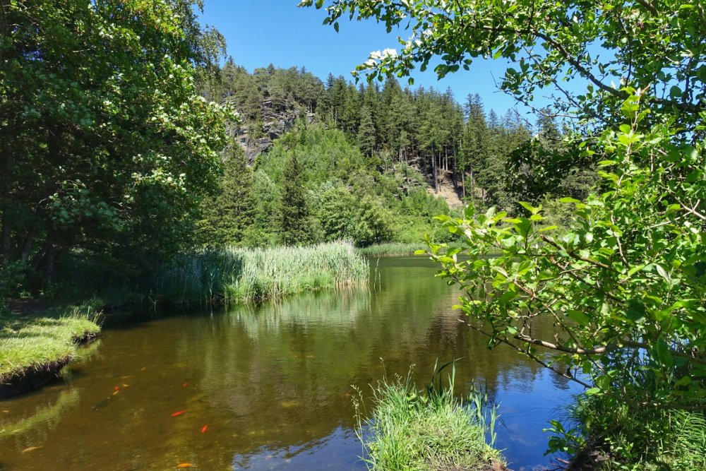 Seerosenweiher mit Lanser Köpfl