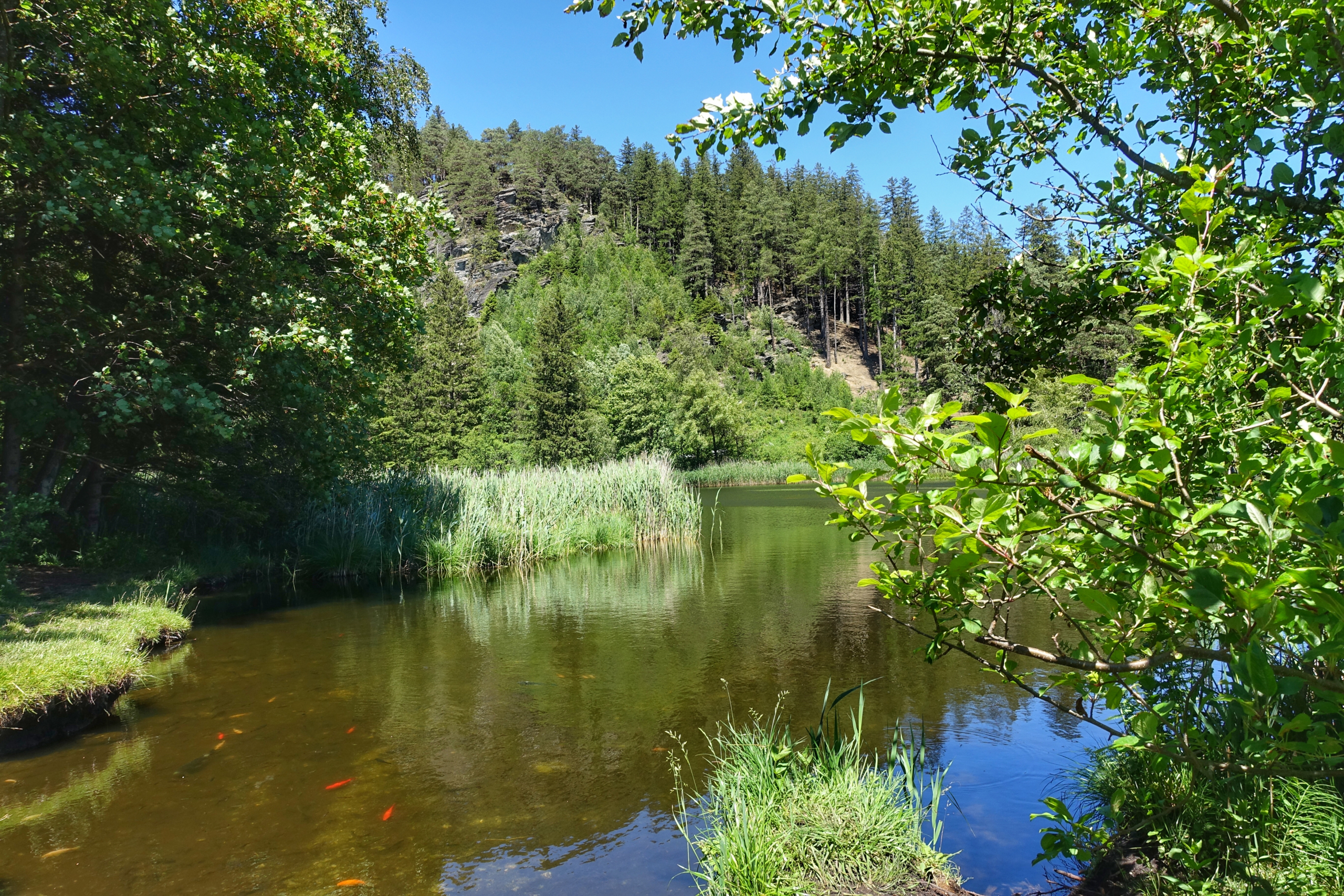 Seerosenweiher mit Lanser Köpfl