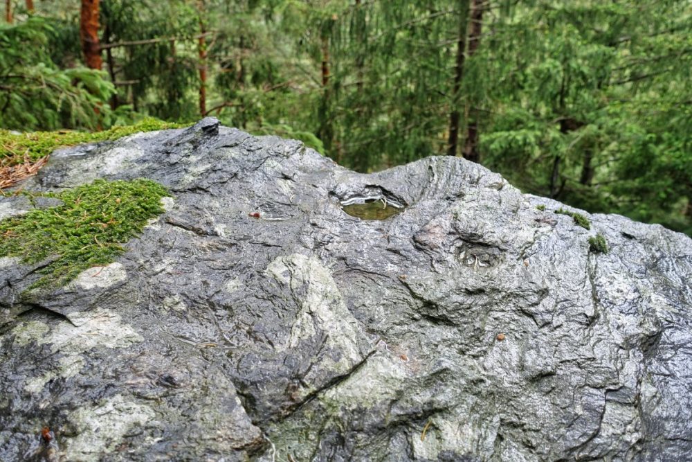 Schalenstein am Goldbichl