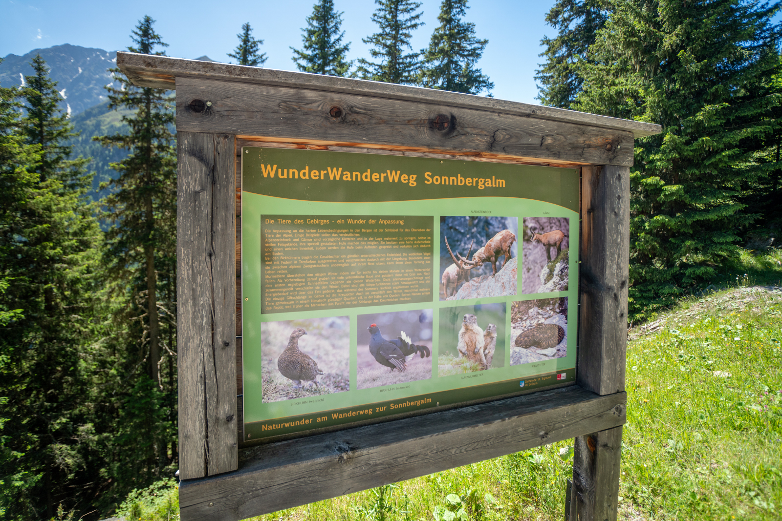 Wunderwanderweg