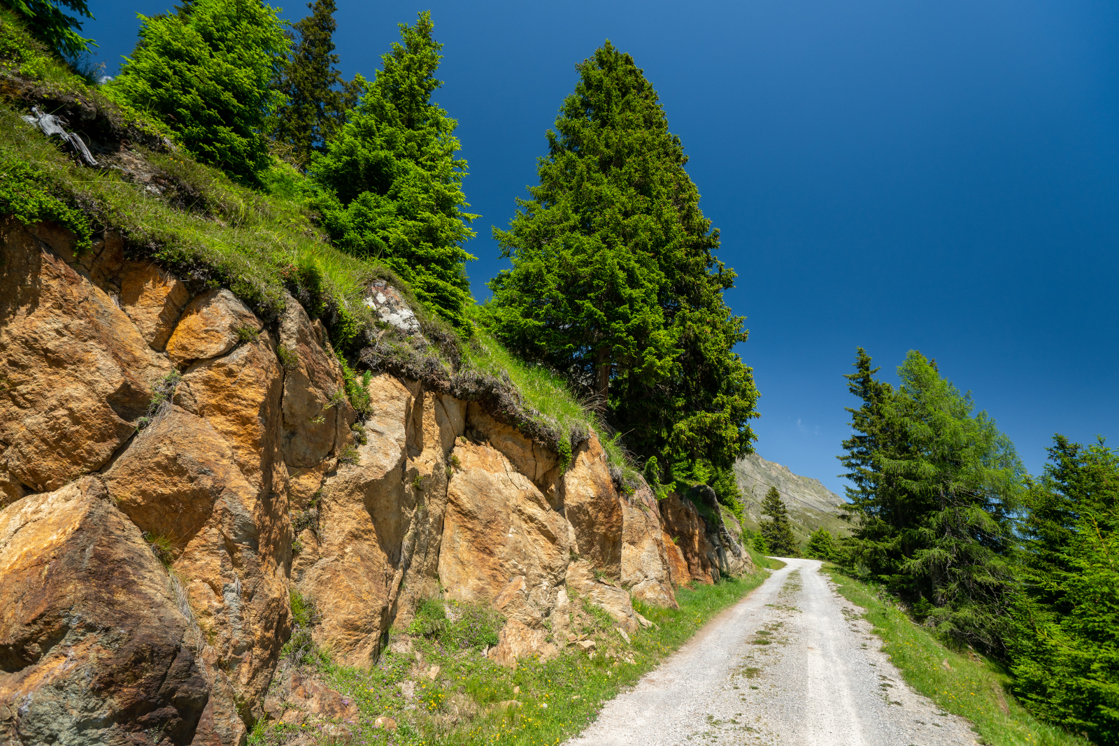 Sonnbergalm Wunderwanderweg