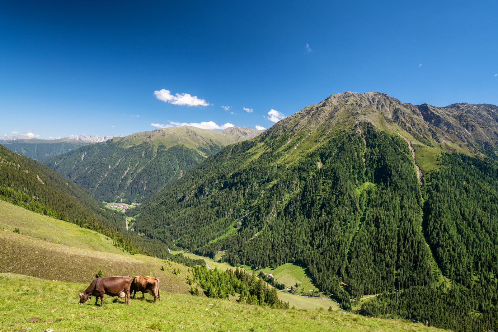 Sonnbergalm