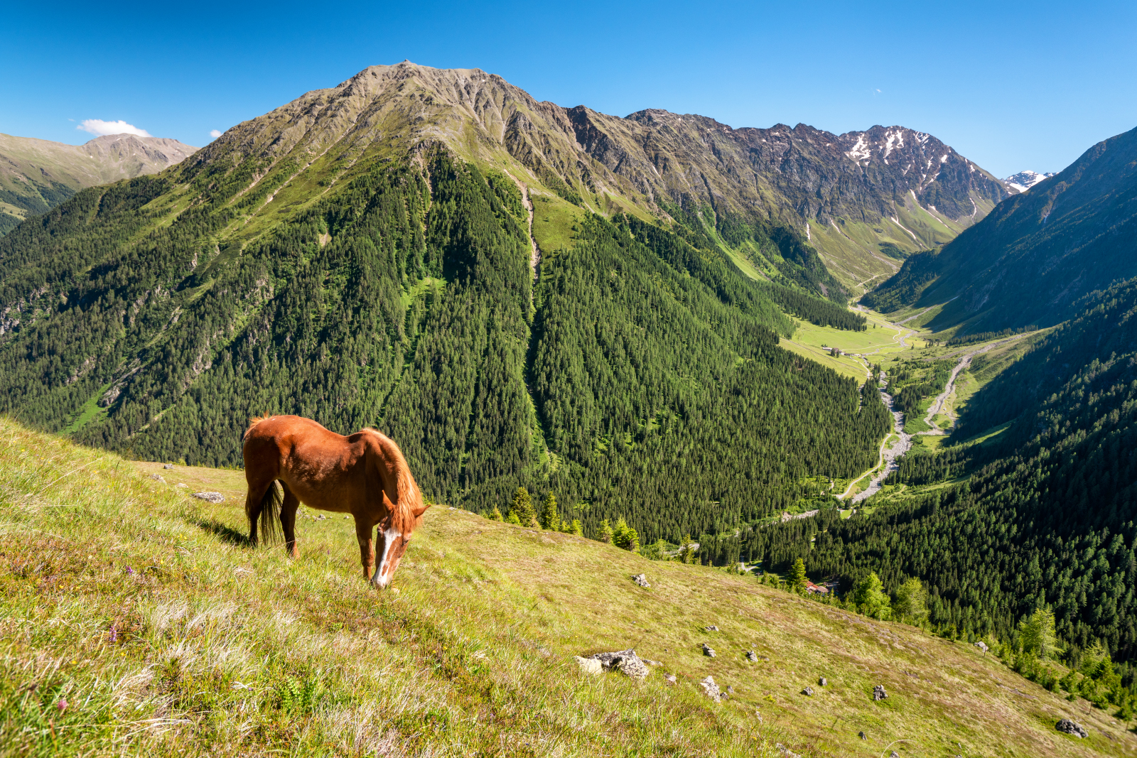Sellrainer Höhenweg