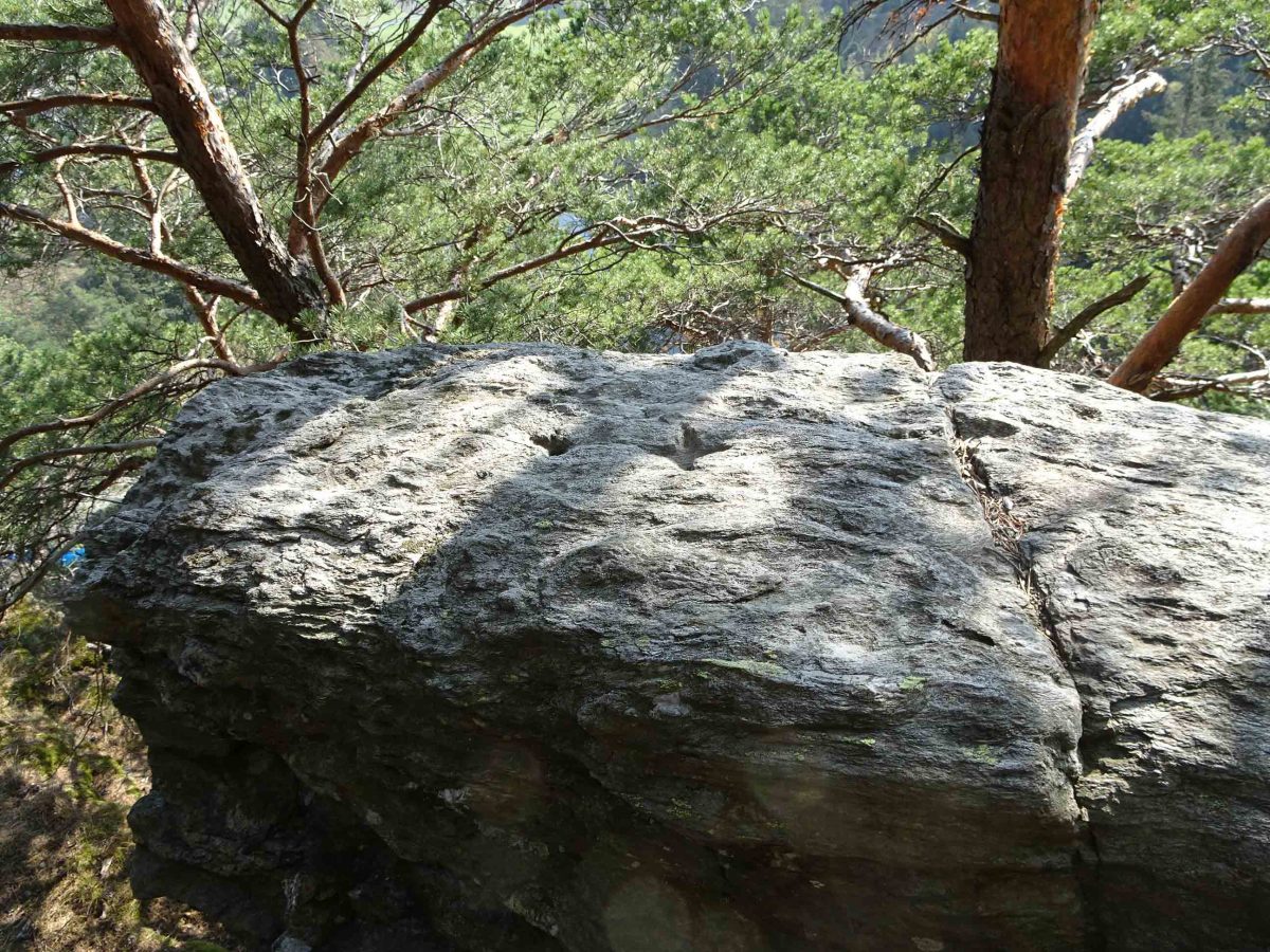 Schalenstein am Lanserkopf