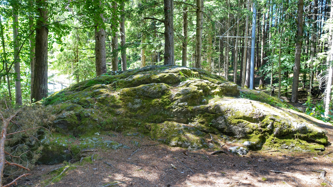 Schalenstein Tantegert