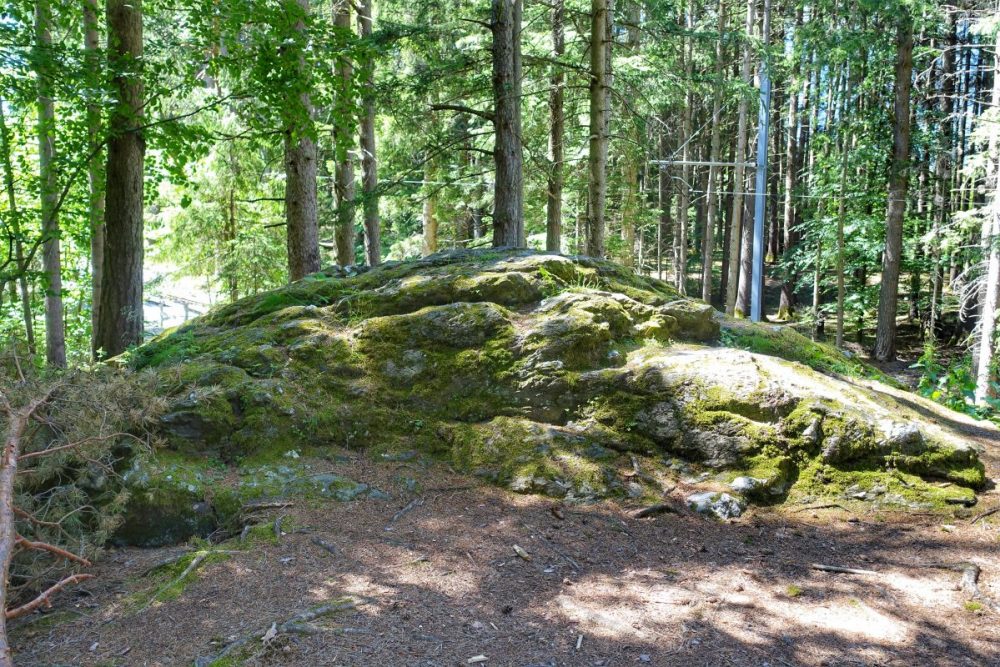 Schalenstein Tantegert