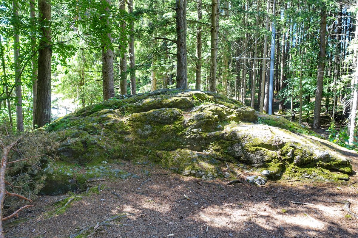 Schalenstein Tantegert