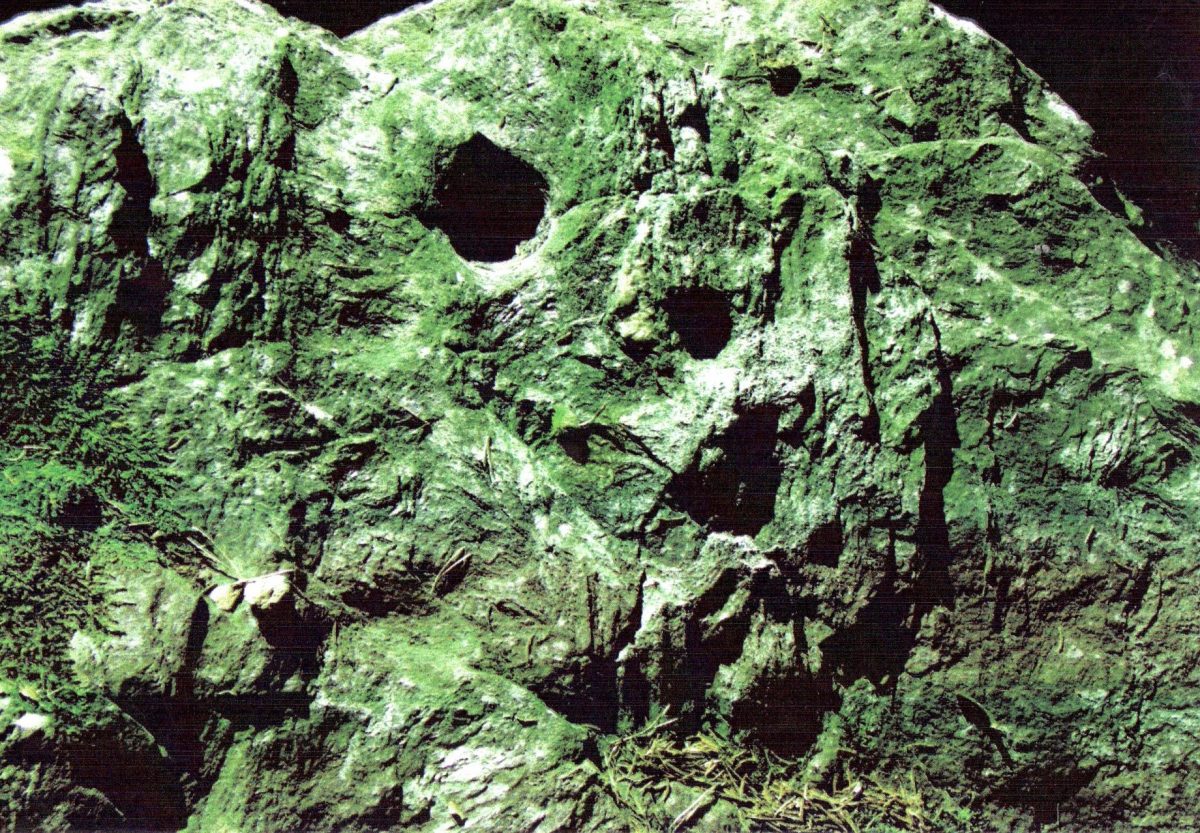 Schalenstein Lanserköpfl