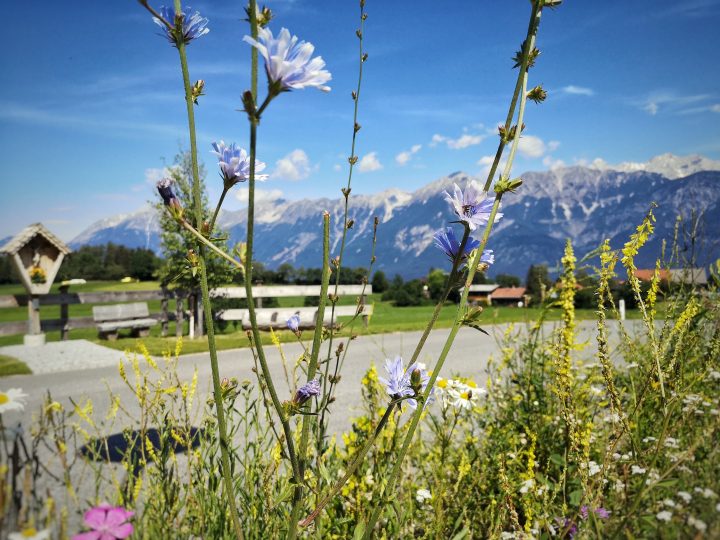 Blick aufs Karwendel