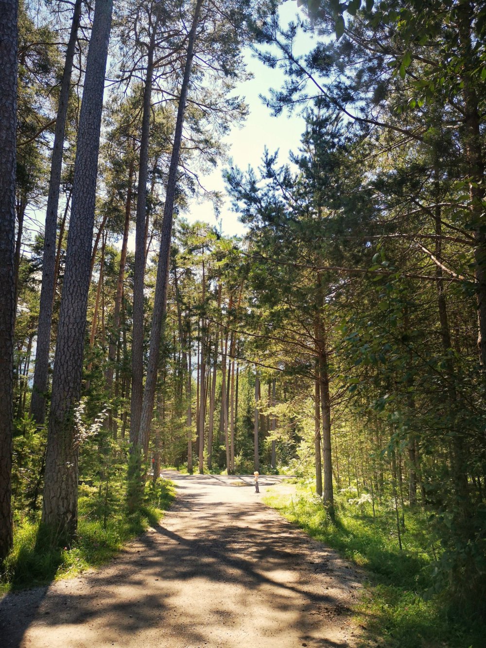 Rundwanderweg Alpinpark Angertalweg